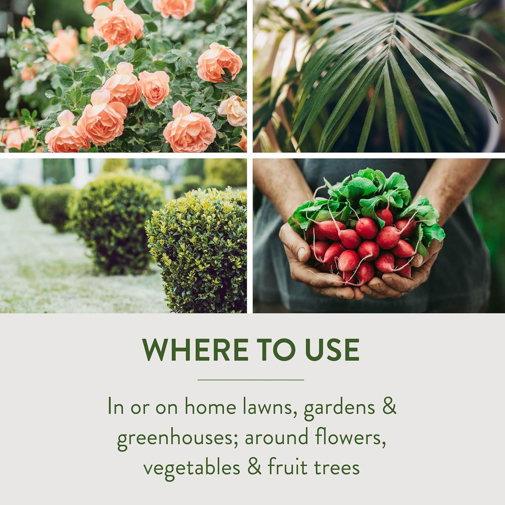 Garden Safe 32 oz. Insecticidal Soap Ready-to-Use, 1 Count (Pack of 1)