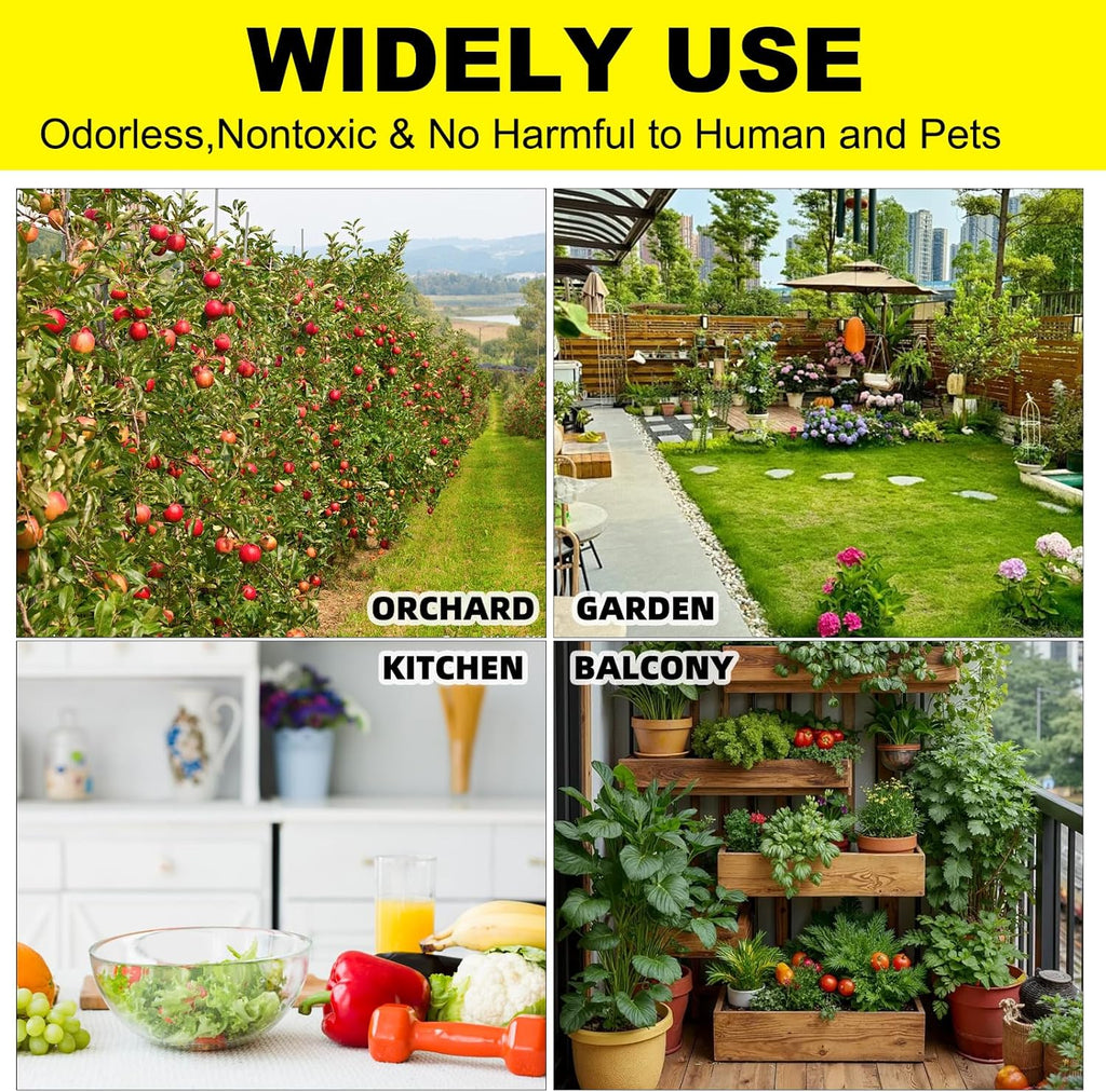 Fruit Fly Traps Fungus Gnat Traps Yellow Sticky Bug Traps 36 Pack No Harm and Odorless for Indoor Outdoor Use Protect The Plant