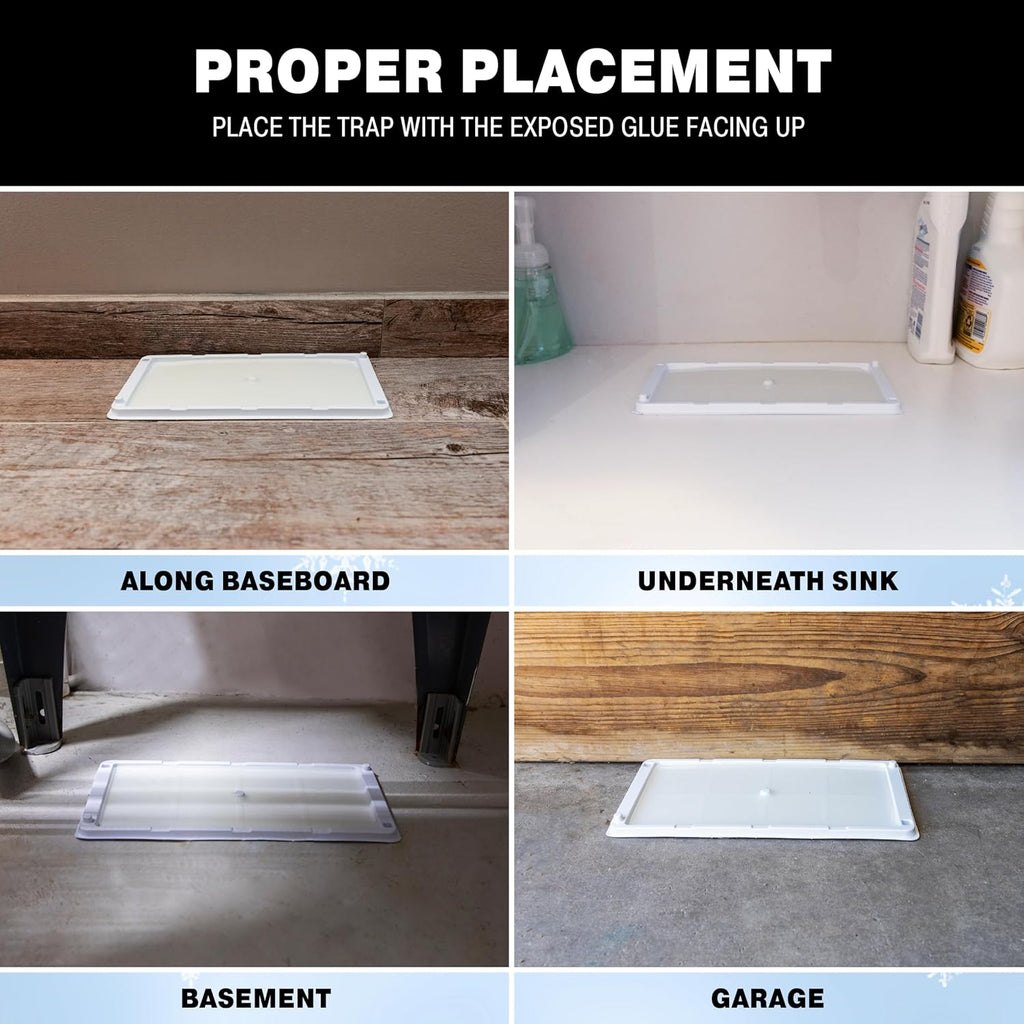 Catchmaster Rat, Snake and Mouse Traps 10Pk, Large Bulk Glue Rat Traps for Home, Adhesive Plastic Tray for Inside House, Snake, Mice, & Spider Catcher, Pest Control for House & Garage