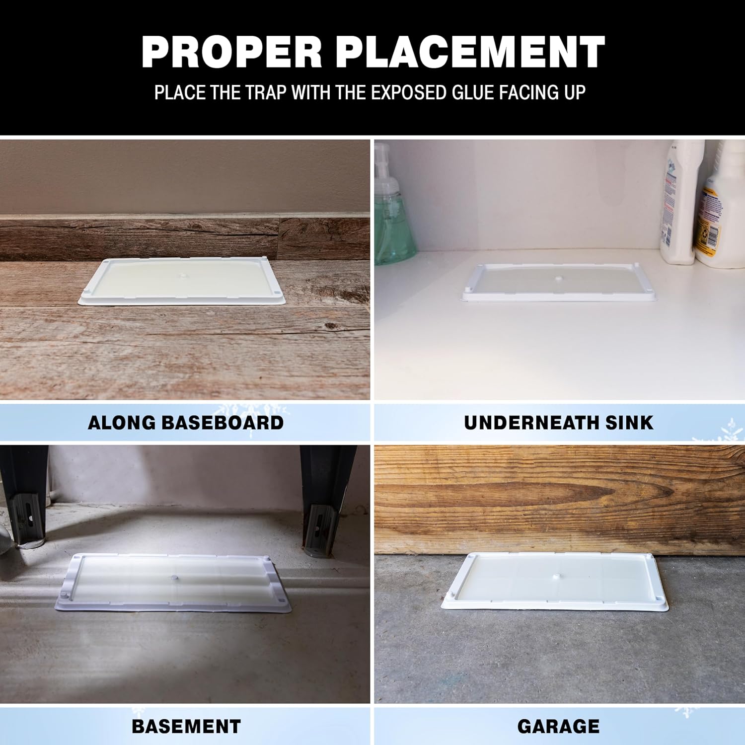 Catchmaster Rat, Snake and Mouse Traps 10Pk, Large Bulk Glue Rat Traps for Home, Adhesive Plastic Tray for Inside House, Snake, Mice, & Spider Catcher, Pest Control for House & Garage