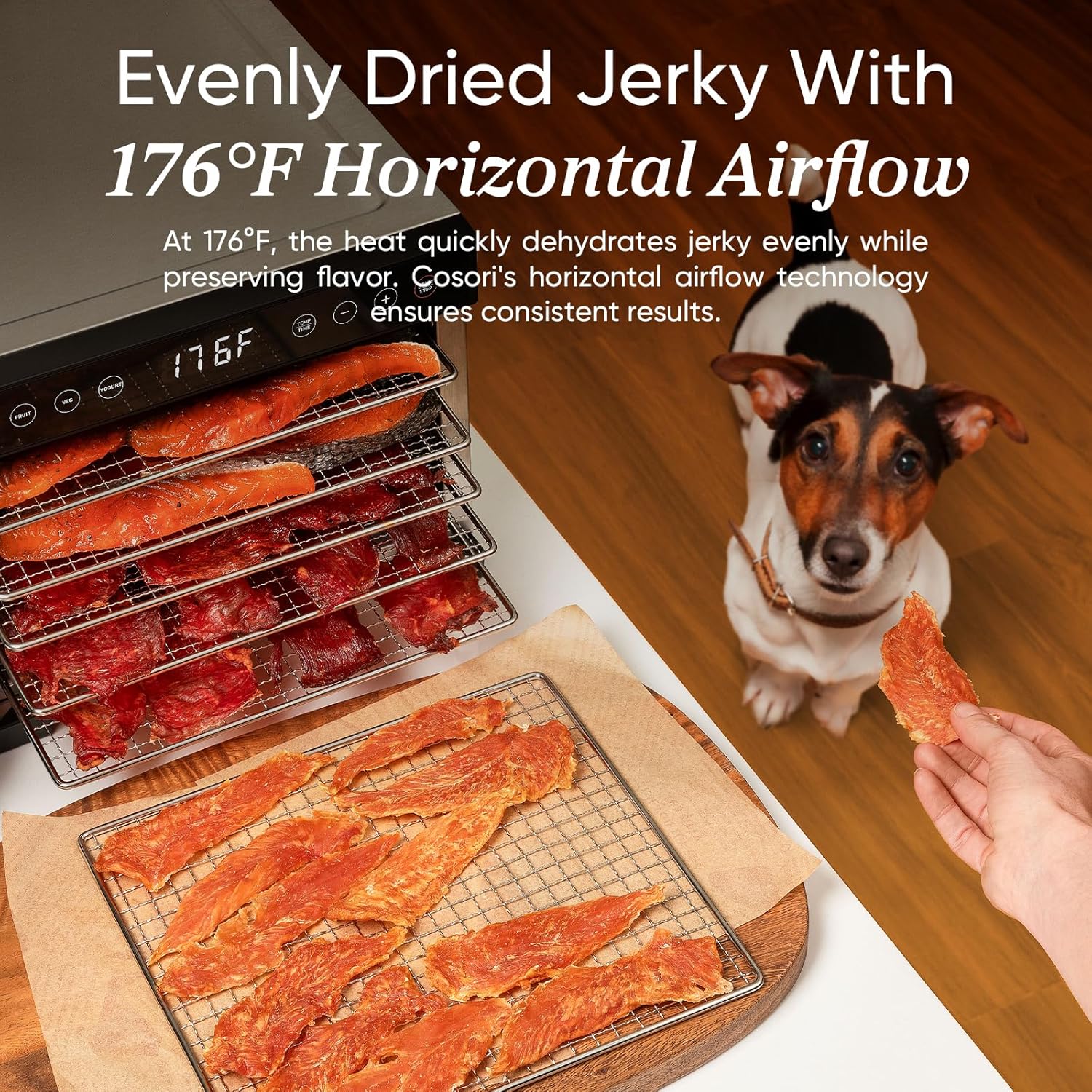 COSORI Food Dehydrator, Bigger Than 7 Trays With Large 6.5" Drying Space, 600W Power Saves More Time Than 480W, 165°F Dehydrated Dryer for Jerky, Dog Treats, Herbs, Meat, Fruit, and Yogurt, Silver