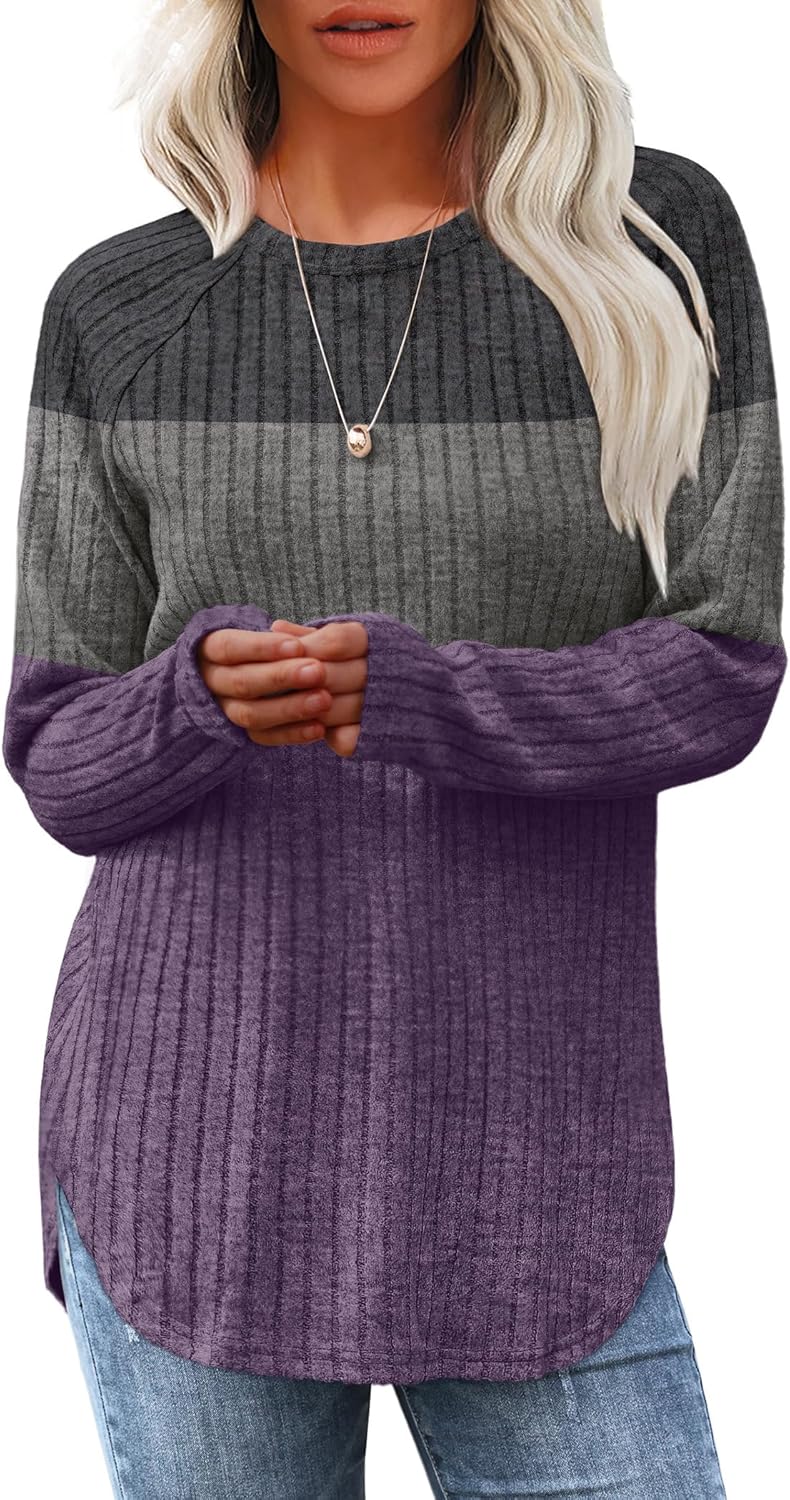 Saloogoe Long Sleeve Shirts for Women 2025 Fall Clothes Tunic Tops Loose Fit Dressy Crewneck Pullover Sweaters Curved Hem