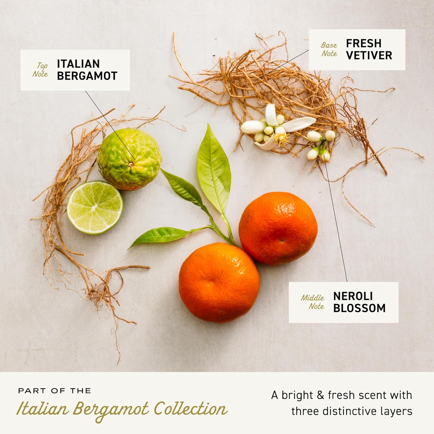 Irish Spring Bar Soap for Men, Original Clean, Smell Fresh and Clean for 12 Hours, Men Soap Bars for Washing Hands and Body, Mild for Skin, Recyclable Carton, 3.7 Ounce - 3 Count (Pack of 8)