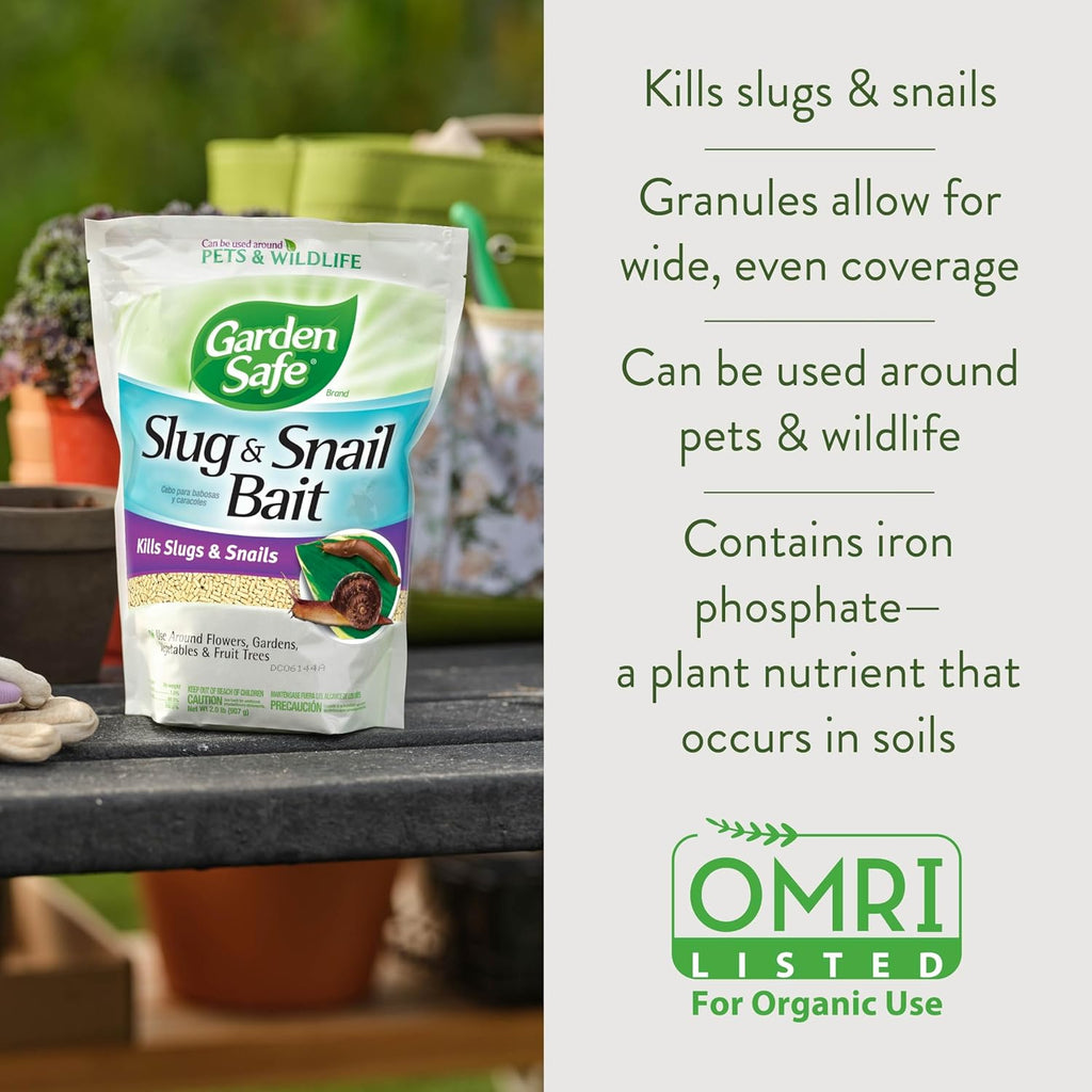 Garden Safe 32 oz. Insecticidal Soap Ready-to-Use, 1 Count (Pack of 1)