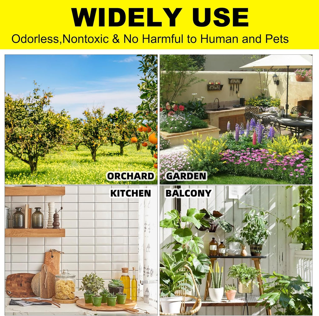 Fruit Fly Traps Fungus Gnat Traps Yellow Sticky Bug Traps 36 Pack No Harm and Odorless for Indoor Outdoor Use Protect The Plant