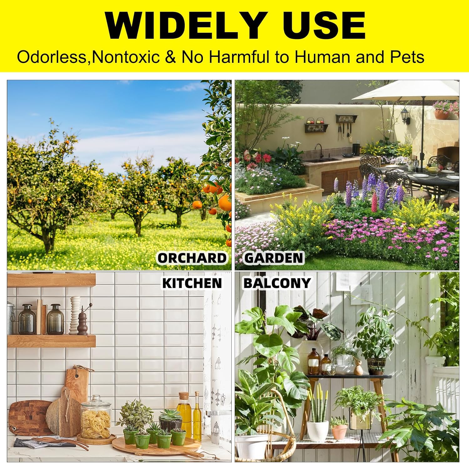 Fruit Fly Traps Fungus Gnat Traps Yellow Sticky Bug Traps 36 Pack No Harm and Odorless for Indoor Outdoor Use Protect The Plant