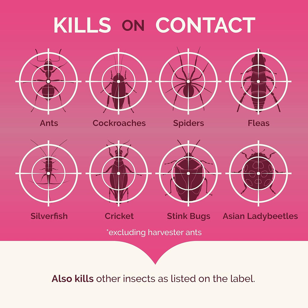 Hot Shot Ant, Roach & Spider Killer, Kills Insects Indoors and Outdoors, Kills Roaches and Listed Ants on Contact, Insecticide Spray, 17.5 Ounce (Crisp Linen)