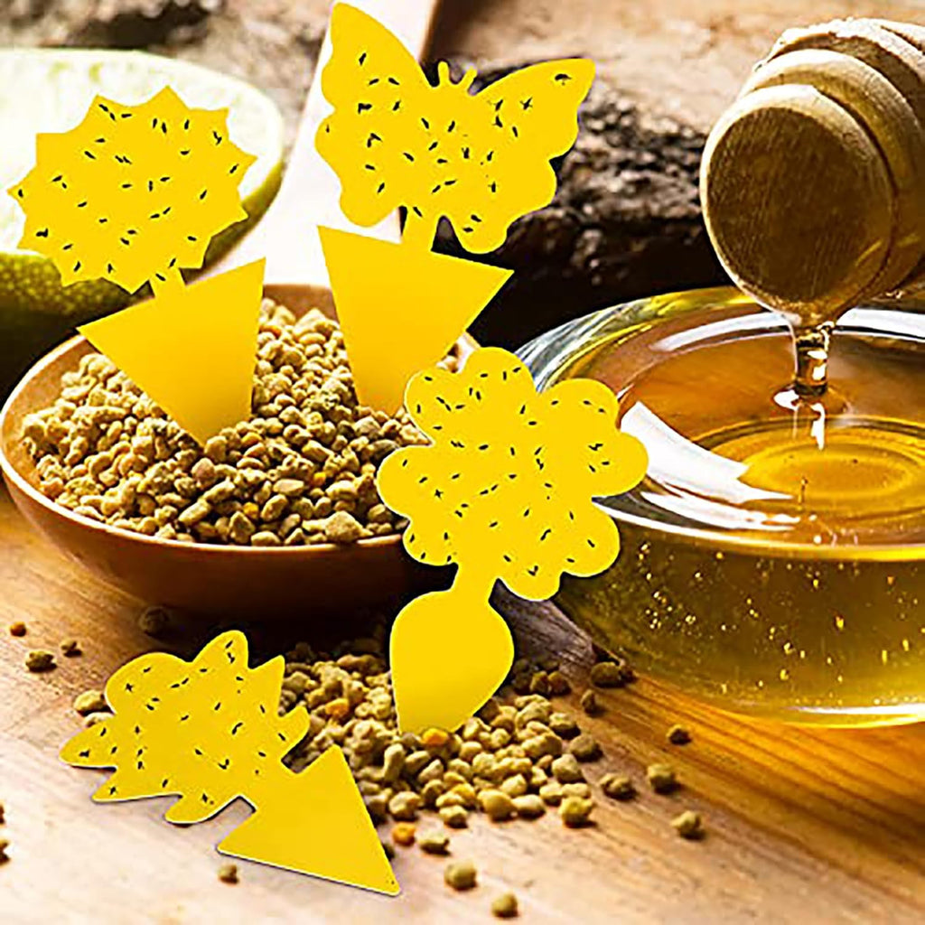 Fruit Fly Traps Fungus Gnat Traps Yellow Sticky Bug Traps 36 Pack No Harm and Odorless for Indoor Outdoor Use Protect The Plant