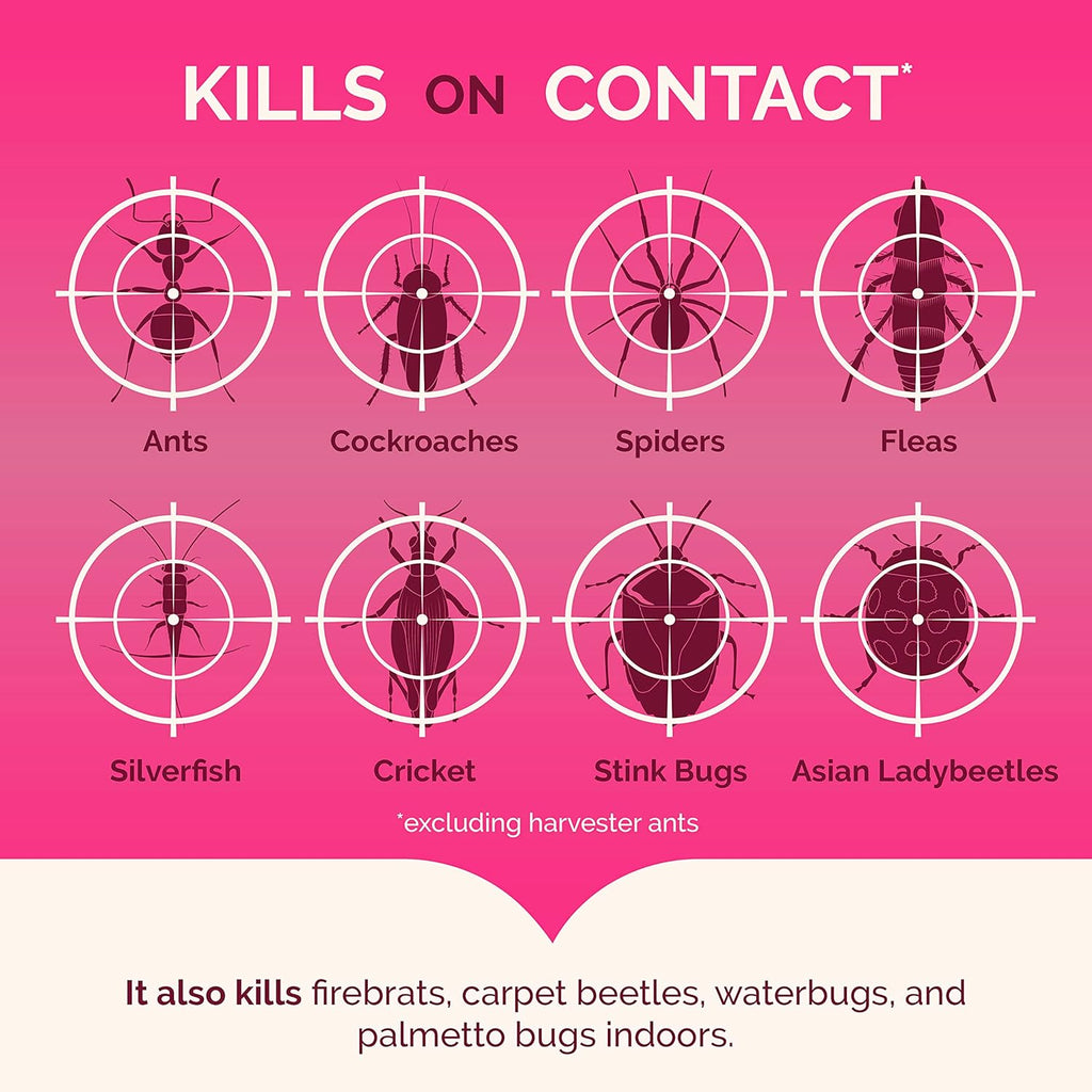 Hot Shot Ant, Roach & Spider Killer, Kills Insects Indoors and Outdoors, Kills Roaches and Listed Ants on Contact, Insecticide Spray, 17.5 Ounce (Crisp Linen)