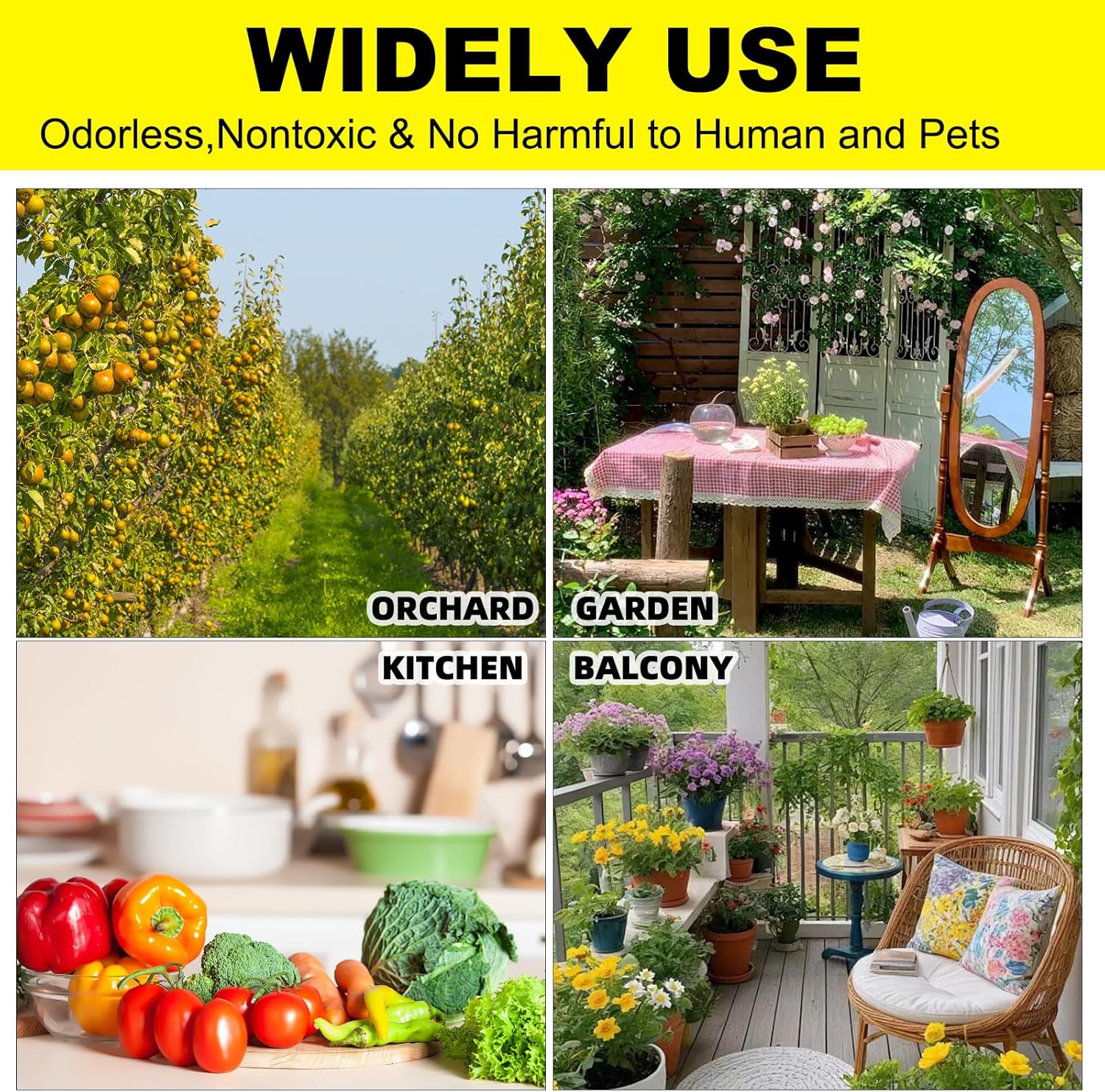 Fruit Fly Traps Fungus Gnat Traps Yellow Sticky Bug Traps 36 Pack No Harm and Odorless for Indoor Outdoor Use Protect The Plant