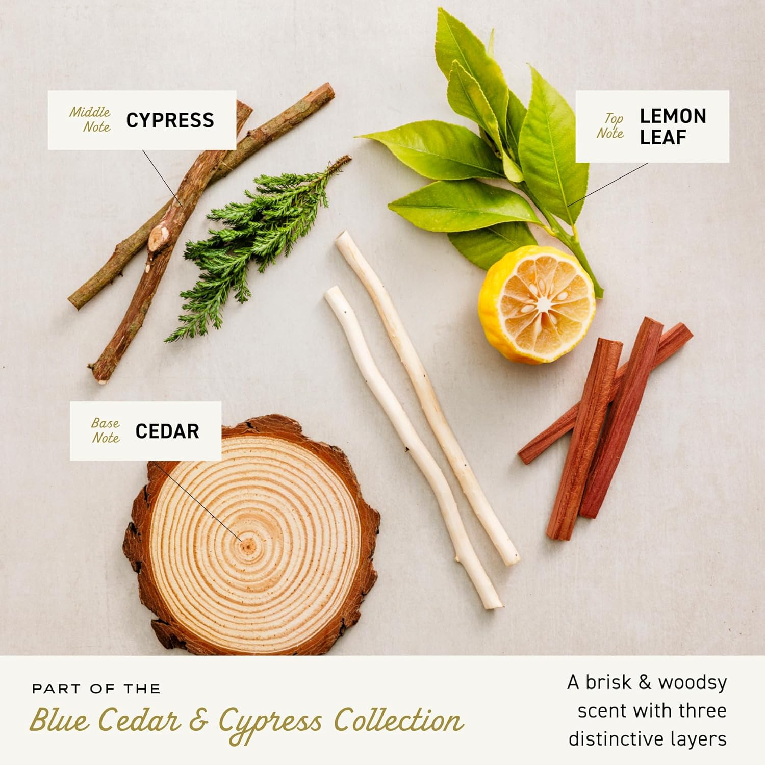 Irish Spring Bar Soap for Men, Original Clean, Smell Fresh and Clean for 12 Hours, Men Soap Bars for Washing Hands and Body, Mild for Skin, Recyclable Carton, 3.7 Ounce - 3 Count (Pack of 8)