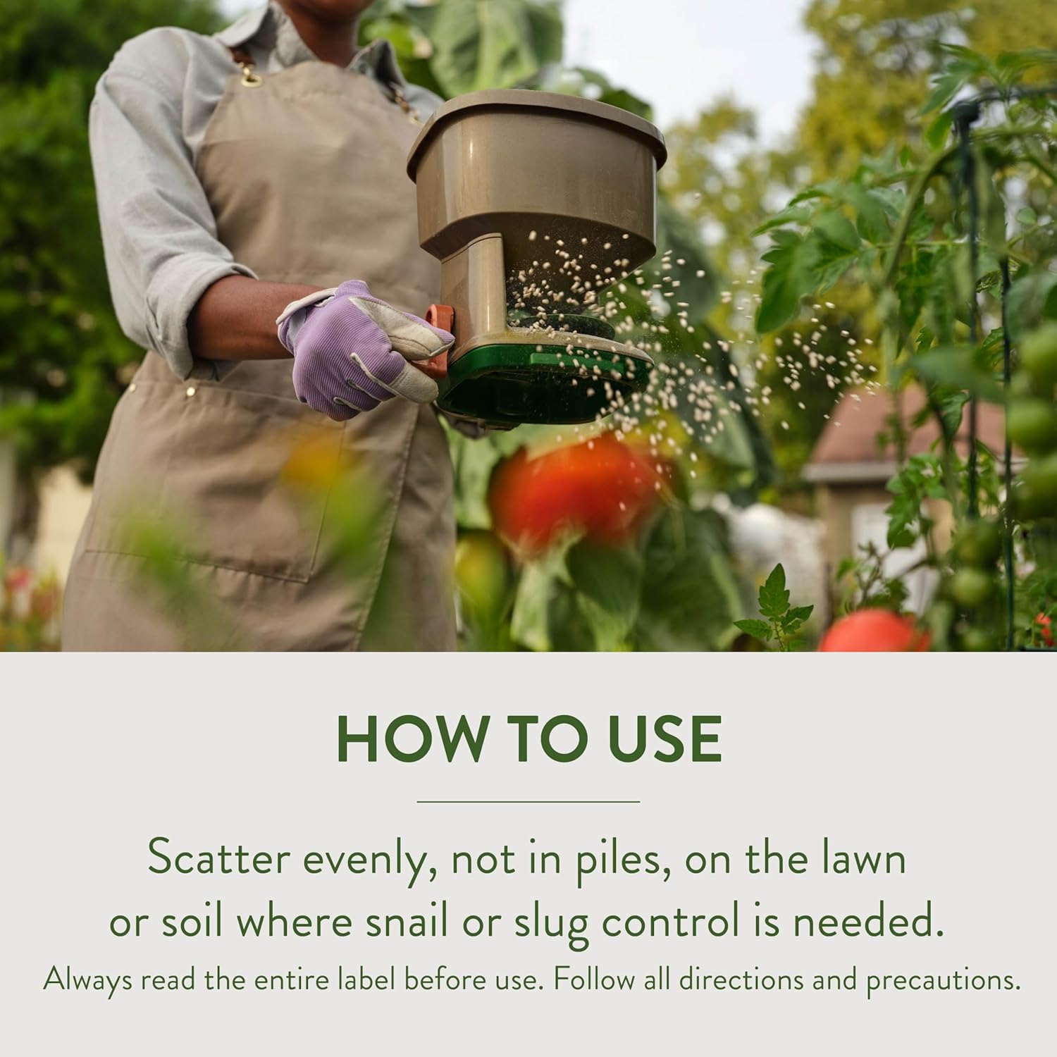 Garden Safe 32 oz. Insecticidal Soap Ready-to-Use, 1 Count (Pack of 1)