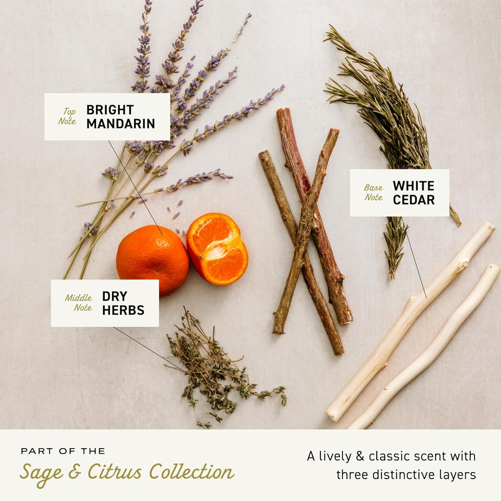 Irish Spring Bar Soap for Men, Original Clean, Smell Fresh and Clean for 12 Hours, Men Soap Bars for Washing Hands and Body, Mild for Skin, Recyclable Carton, 3.7 Ounce - 3 Count (Pack of 8)