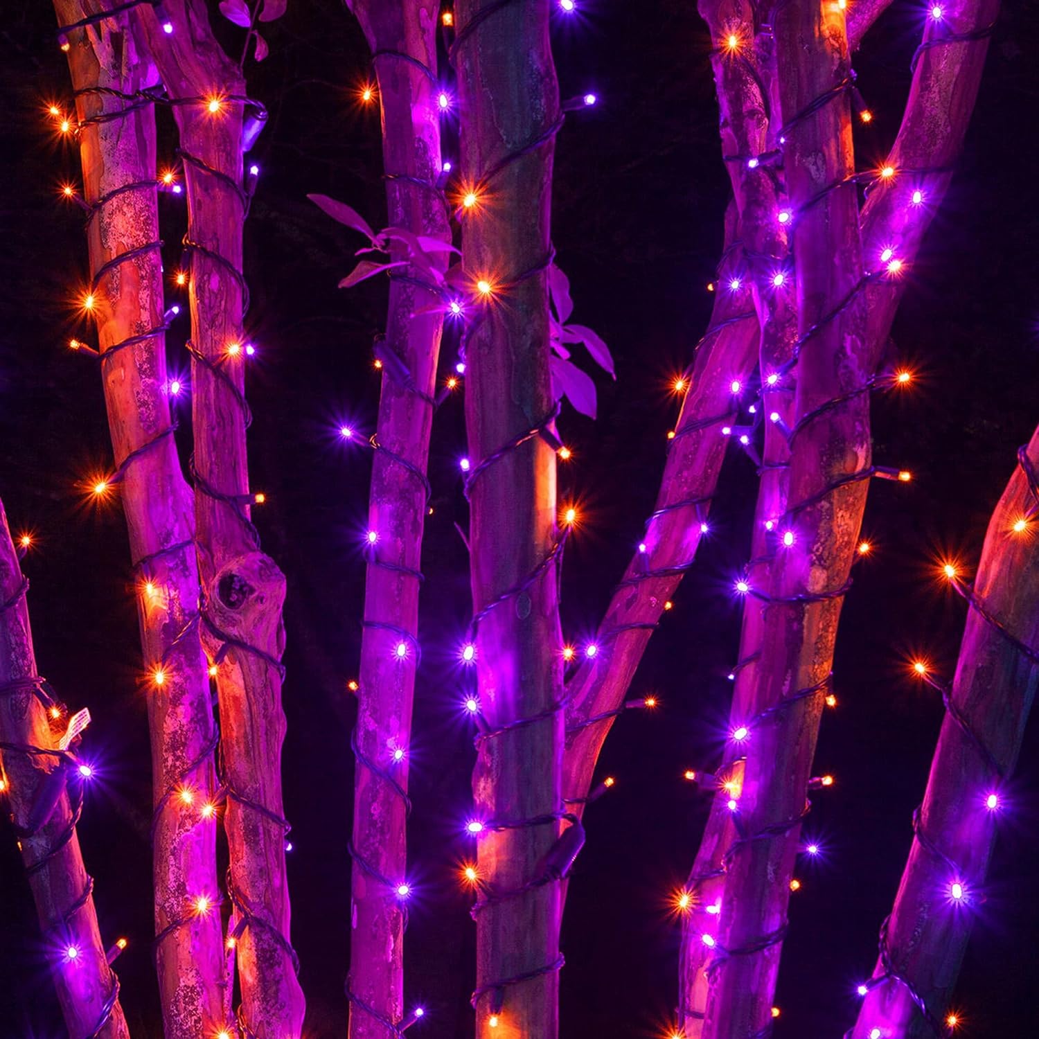 Dazzle Bright Smart Color Changing Halloween Lights, 66FT 200 LED RGB String Lights with Remote & App Controlled, Christmas Decorations for Indoor Outdoor Holiday Xmas Tree Party Decor