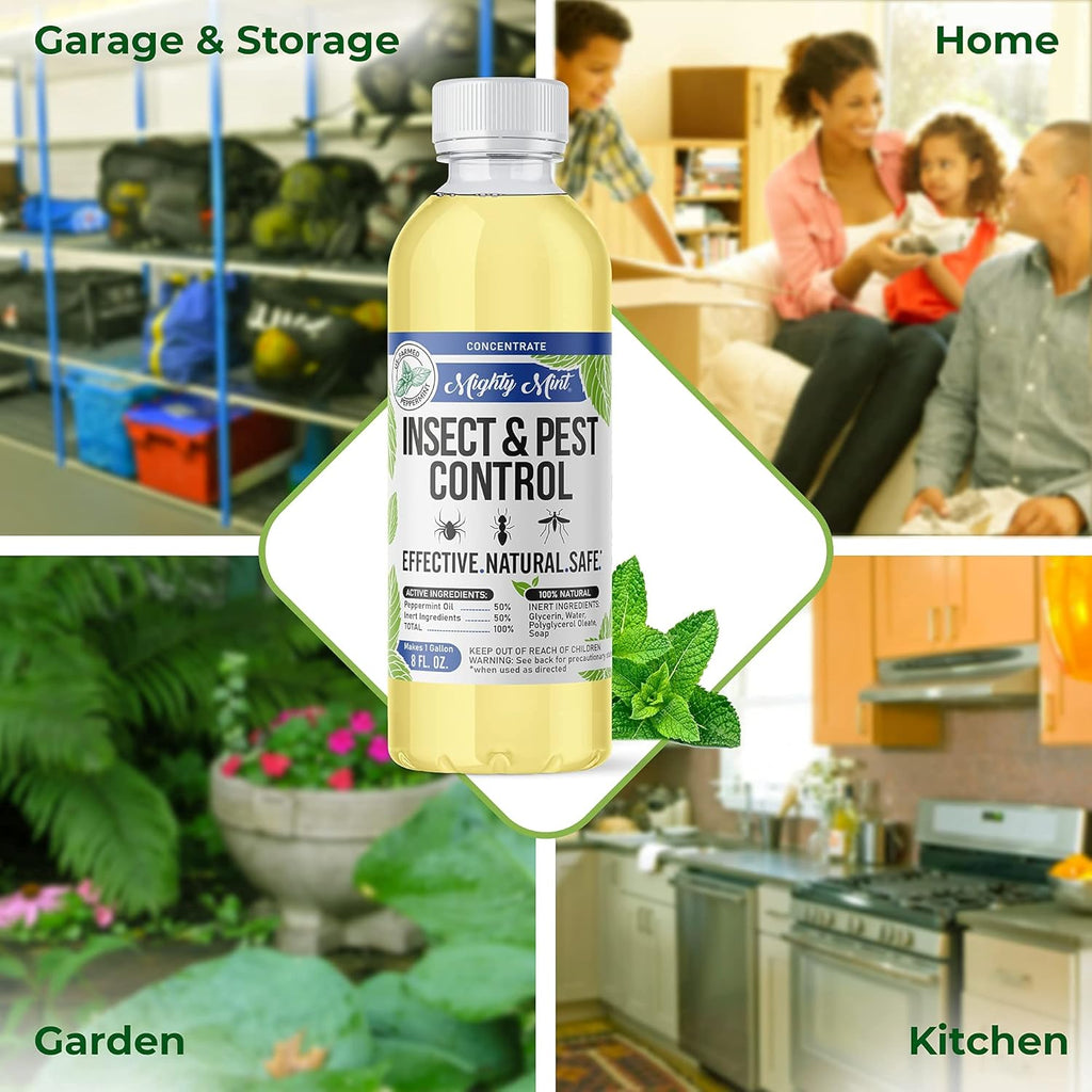 Mighty Mint Peppermint Oil Insect Repellent Spray – Natural Indoor & Outdoor Bug Control for Spiders, Ants, Roaches, and More – Plant-Based, Extra-Strong Formula - 16 oz