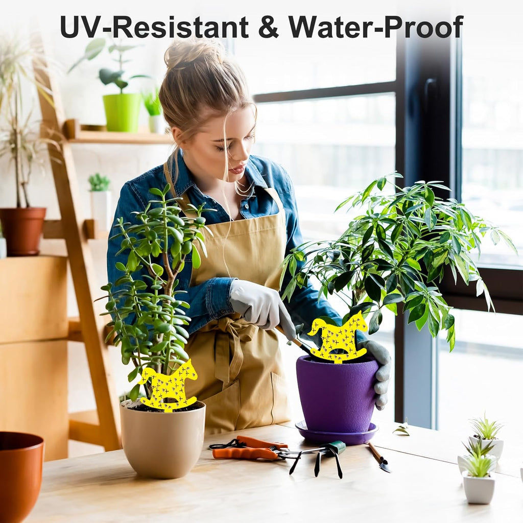 Fruit Fly Traps Fungus Gnat Traps Yellow Sticky Bug Traps 36 Pack No Harm and Odorless for Indoor Outdoor Use Protect The Plant