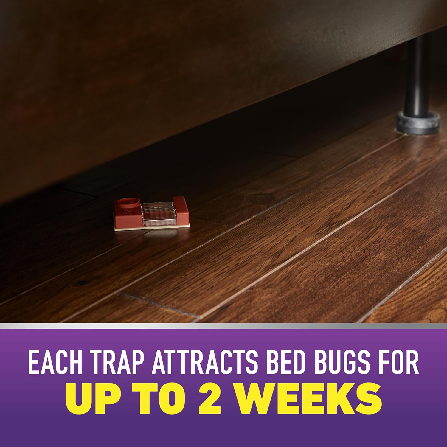 Ortho Home Defense Max Bed Bug, Flea and Tick Killer with Comfort Wand, Bed Bug Spray, Kills Bed Bug Eggs, Fleas and Ticks, 1 gal.