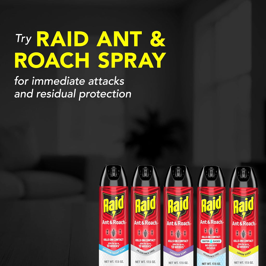 Raid Ant & Roach Killer 26, Fragrance Free Bug Killer for Home Use, Kills Bugs on Contact, 17.5 Oz, 2 Count