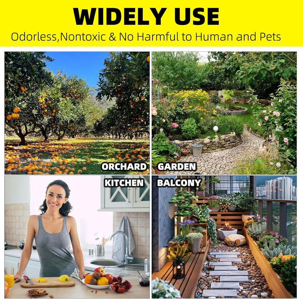 Fruit Fly Traps Fungus Gnat Traps Yellow Sticky Bug Traps 36 Pack No Harm and Odorless for Indoor Outdoor Use Protect The Plant