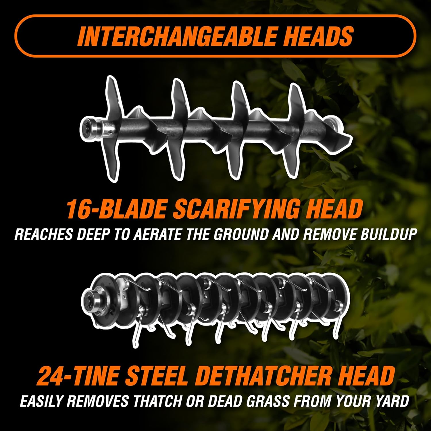 WEN DT1516 16-Inch 15-Amp 2-in-1 Electric Dethatcher and Scarifier with Collection Bag, Black