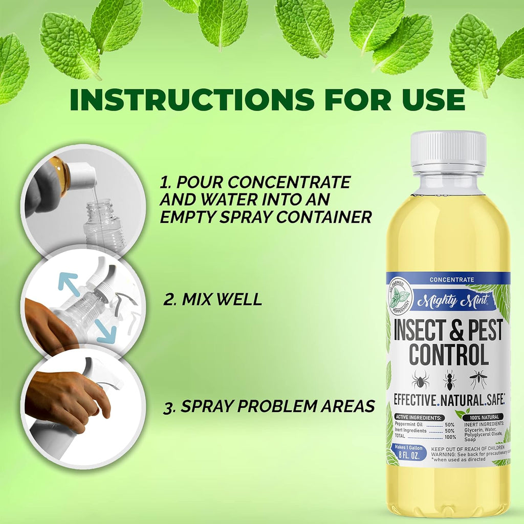 Mighty Mint Peppermint Oil Insect Repellent Spray – Natural Indoor & Outdoor Bug Control for Spiders, Ants, Roaches, and More – Plant-Based, Extra-Strong Formula - 16 oz