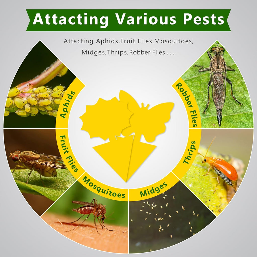 Landisun Fruit Fly Traps 48PCS Fungus Gnat-Traps for Indoor-Outdoor Yellow Fruit-Fly Sticky-Trap Plants Flying Bug Insects Traps