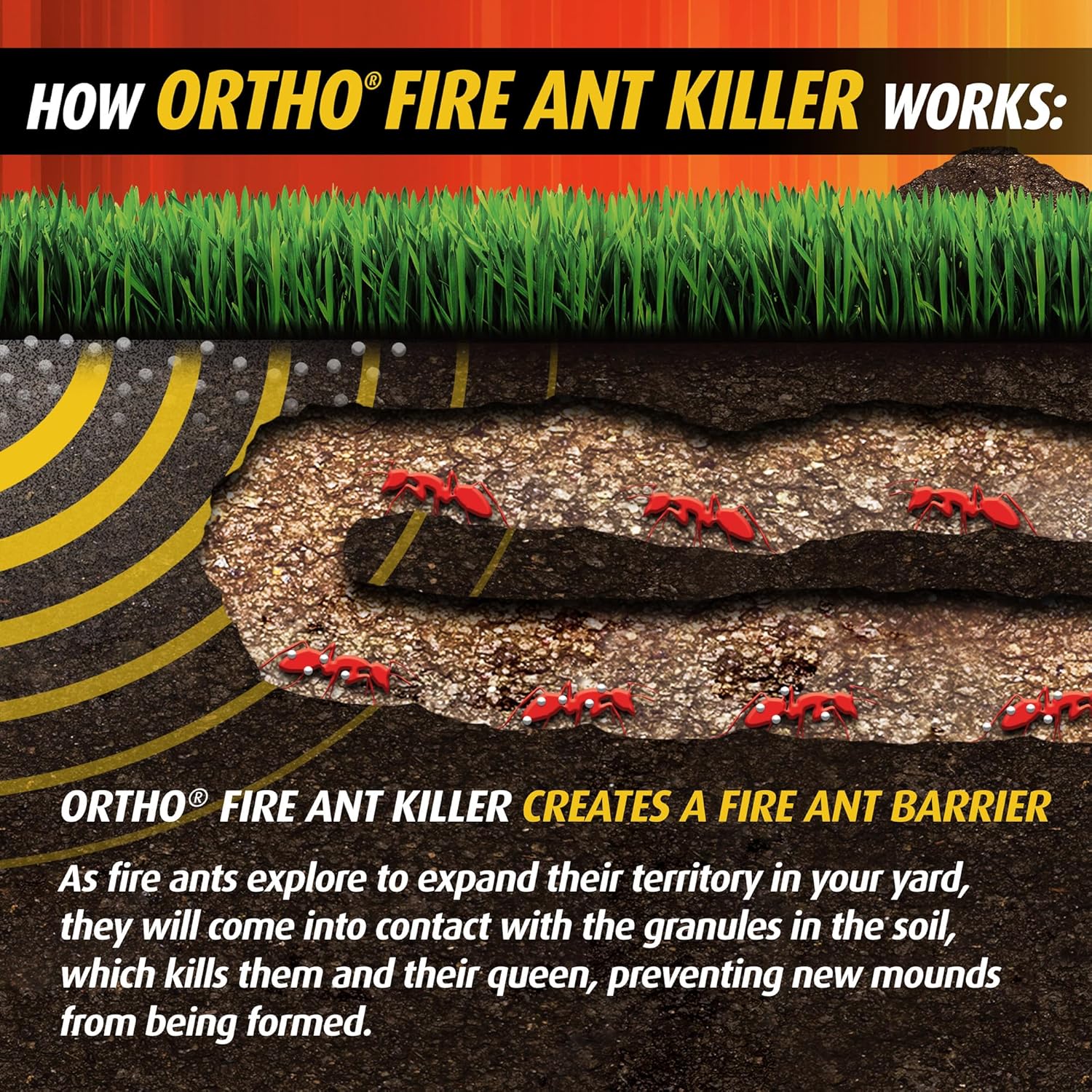 Ortho Orthene Fire Ant Killer1, Kills the Queen and Destroys Mounds, Begins Working in 60 minutes, 12 oz., 2-Pack