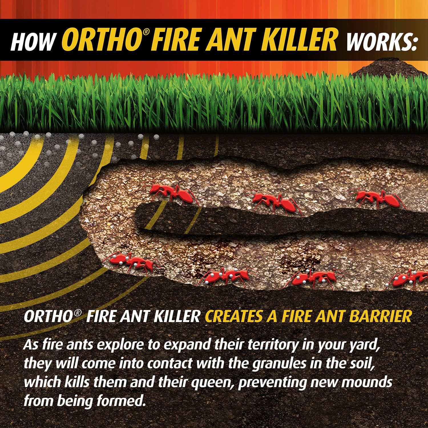 Ortho Orthene Fire Ant Killer1, Kills the Queen and Destroys Mounds, Begins Working in 60 minutes, 12 oz., 2-Pack