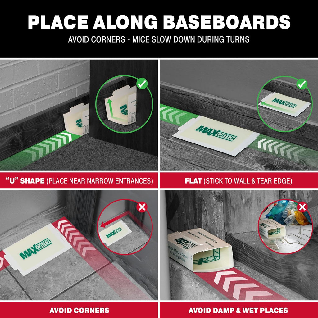 Catchmaster Max-Catch Mouse & Insect Glue Trap 36pk, Mouse Traps Indoor for Home, Sticky Pest Control Adhesive Tray for Catching Bugs, Rats & Rodents, Bulk Classic Glue Boards