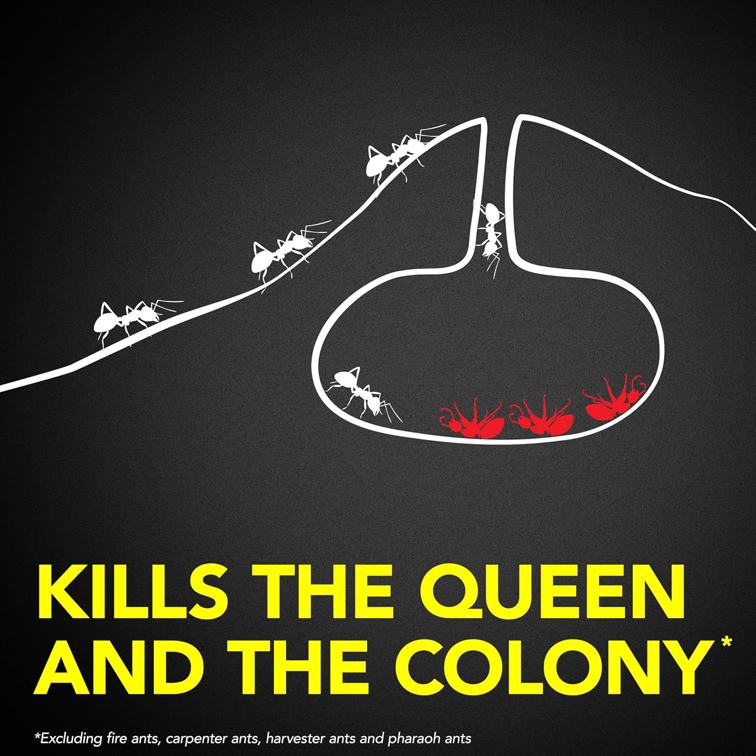 Raid Ant Killer Baits, Child Resistant Bug Killer for Indoor Home Use, 0.24 Oz, 8 Count